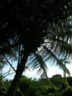 Hana Maui Hawaii <p><a href="http://www.LivePlayMaui.com">http://www.LivePlayMaui.com</a>  <a href="http://www.LivePlayMaui.com" target="_blank">Visit my Maui Real Estate website</a></p>