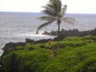 Hana Maui Hawaii <p><a href="http://www.LivePlayMaui.com">http://www.LivePlayMaui.com</a>  <a href="http://www.LivePlayMaui.com" target="_blank">Visit my Maui Real Estate website</a></p>