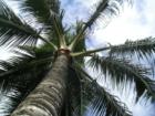 Hana Maui Hawaii <p><a href="http://www.LivePlayMaui.com">http://www.LivePlayMaui.com</a>  <a href="http://www.LivePlayMaui.com" target="_blank">Visit my Maui Real Estate website</a></p>