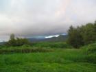 Hana Maui Hawaii <p><a href="http://www.LivePlayMaui.com">http://www.LivePlayMaui.com</a>  <a href="http://www.LivePlayMaui.com" target="_blank">Visit my Maui Real Estate website</a></p>