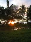 Hana Maui Hawaii <p><a href="http://www.LivePlayMaui.com">http://www.LivePlayMaui.com</a>  <a href="http://www.LivePlayMaui.com" target="_blank">Visit my Maui Real Estate website</a></p>