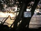 Hana Maui Hawaii <p><a href="http://www.LivePlayMaui.com">http://www.LivePlayMaui.com</a>  <a href="http://www.LivePlayMaui.com" target="_blank">Visit my Maui Real Estate website</a></p>