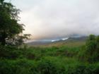Hana Maui Hawaii <p><a href="http://www.LivePlayMaui.com">http://www.LivePlayMaui.com</a>  <a href="http://www.LivePlayMaui.com" target="_blank">Visit my Maui Real Estate website</a></p>