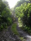 Hana Maui Hawaii <p><a href="http://www.LivePlayMaui.com">http://www.LivePlayMaui.com</a>  <a href="http://www.LivePlayMaui.com" target="_blank">Visit my Maui Real Estate website</a></p>