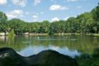 Ridgewood Duck Pond