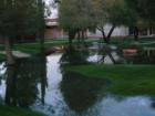 Sometimes Flooding is the form of watering
