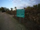 Vineyards, historical and the now of them