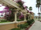 Pergola and flowers near the entrance to the resort