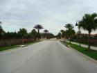 The road leading away from Emerald Island Resort