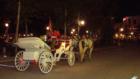 Horse drawn carriage in Celebration at Christmas