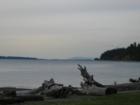 Peaceful Port Susan