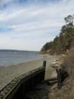Beautiful Camano Island State Park.
