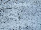 Perfect snow screen saver - Snow fall in Red Hook 2007