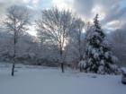 Snow scene in Red Hook