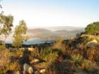 A gorgeous view of the Fallbrook landscape above the fog. 