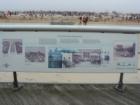 History of Jones Beach, Wantagh, Long Island, New York in Nassau County
      by Nassau County Feng Shui Consultant Carole Provenzale