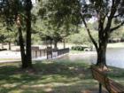 Cinco Ranch bridge that seperates the Beach Club & 14 acre stocked lake. There are free sail & paddle boats + you can launch your own canoe, etc., fish, or just set under a shade tree with a book.