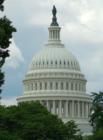 The Capitol