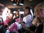 Anca's wedding