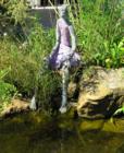 The Woodlands Public Art - Summertime