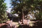 Ar119941553245913_l