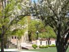 Purdue University