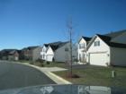 Typical street in Lovettsville community constructed in the 21st Century.
