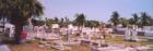 Ar119956693784465_l