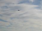 Ar11995766388018_l