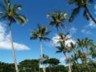 Wailea <a href="http://www.garybland.com"> http://www.garybland.com</a>
      
      <a href=" http://www.realestatemaui.us/blog">Visit my Maui Real Estate weblog.</a>