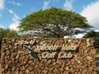 Wailea <a href="http://www.garybland.com"> http://www.garybland.com</a>
      
      <a href=" http://www.realestatemaui.us/blog">Visit my Maui Real Estate weblog.</a>