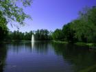 Grogans Mill Area Pond