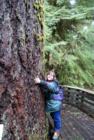 Now that's big!