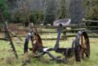 at the homestead