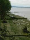 the shoreline at the village