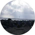 North jetty wall