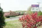 West Springfield High School