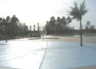 Play area with Pallm Tree Sprays at Wild Wing