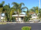 Beautiful medical office with lovely palm trees.