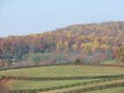 The gorgeous mountain views in Madison County near Wolftown