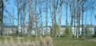 Village Loop housing at Fort Belvoir