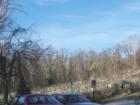 The Public Garden in Glover Park