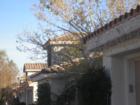 Elkhorn Springs is located in the Northwestern section of the Las Vegas Valley