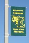 Emmaus High School Mascot - The Hornets