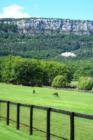 Shawangunk Ridge and horses