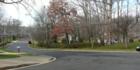 Mount Vernon Forest