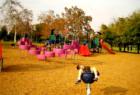 A day of fun at the playground with grandson Kyle. Photo by Lynda Eisenmann, Realtor.