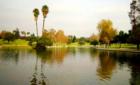 Secrene view of the lake in Jan. A popular place for fishing in the city. Photo by Lynda Eisenmann, Realtor.