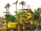 Close-up look at Splash, looks like fun, doesn't it? Photo by Lynda Eisenmann