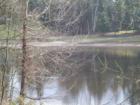 Hicks Lake/Lakewood Park